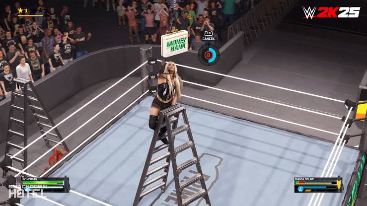 WWE 2K25