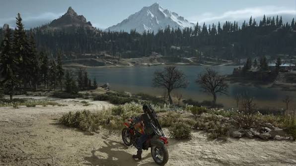 Days Gone